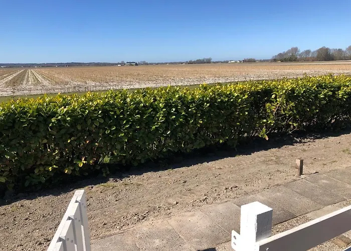 De Salon Lejlighed Warmenhuizen